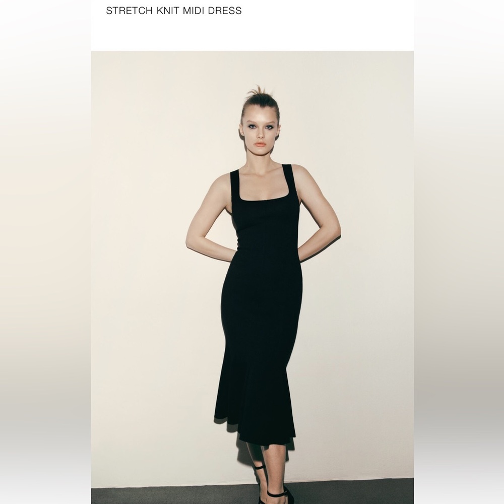 Zara stretch dress. NWT. Size Small.